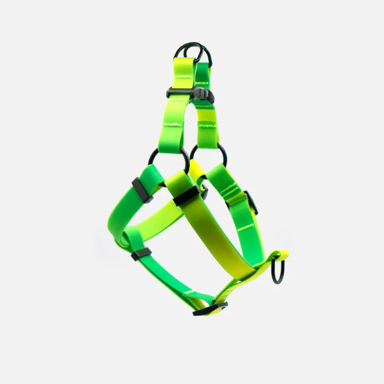 Lime Margarita Harness