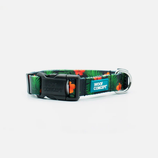 Maui 2 Dog Collar