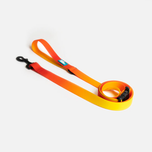 Sunset Waterproof Leash